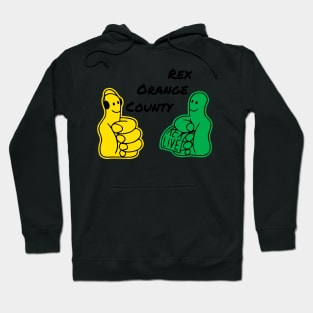 rex orange county tour Hoodie